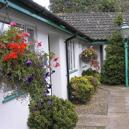 The Willow House Watton Екстериор снимка