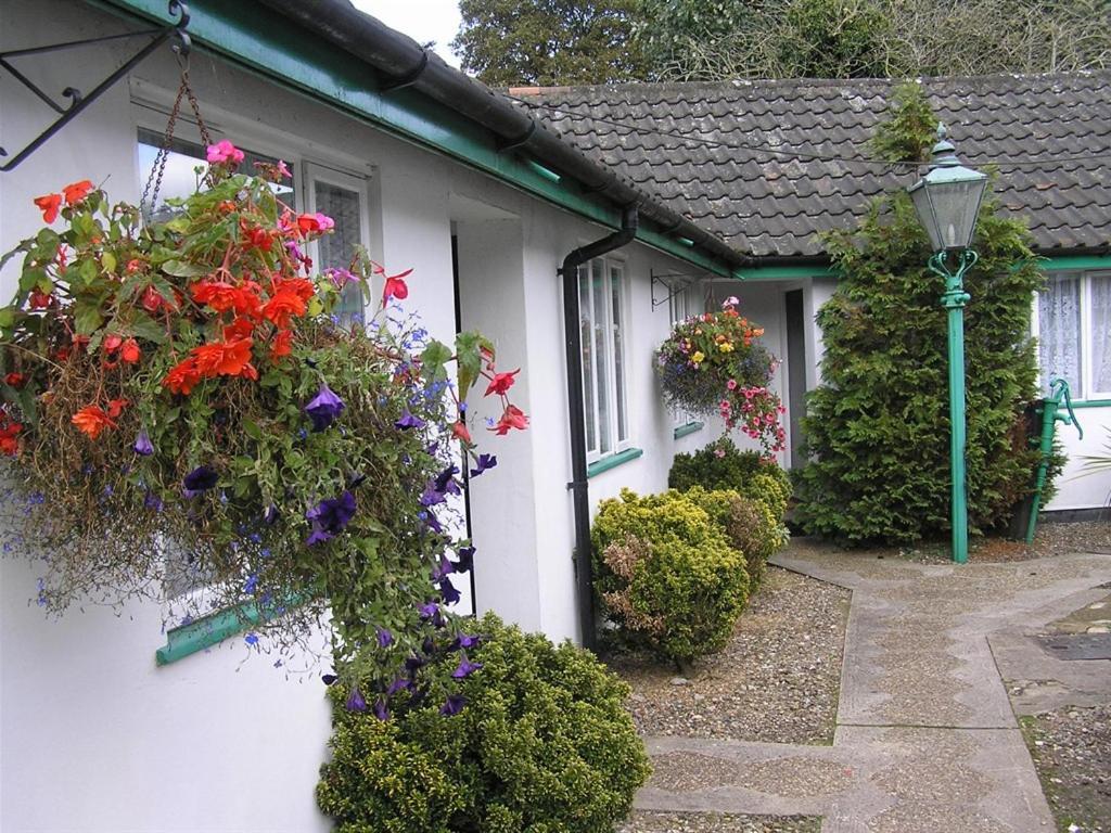 The Willow House Watton Екстериор снимка